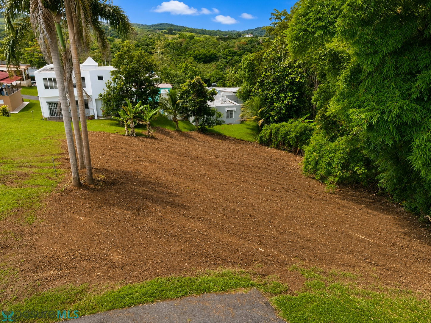 PR 450 Piedras Blancas 3