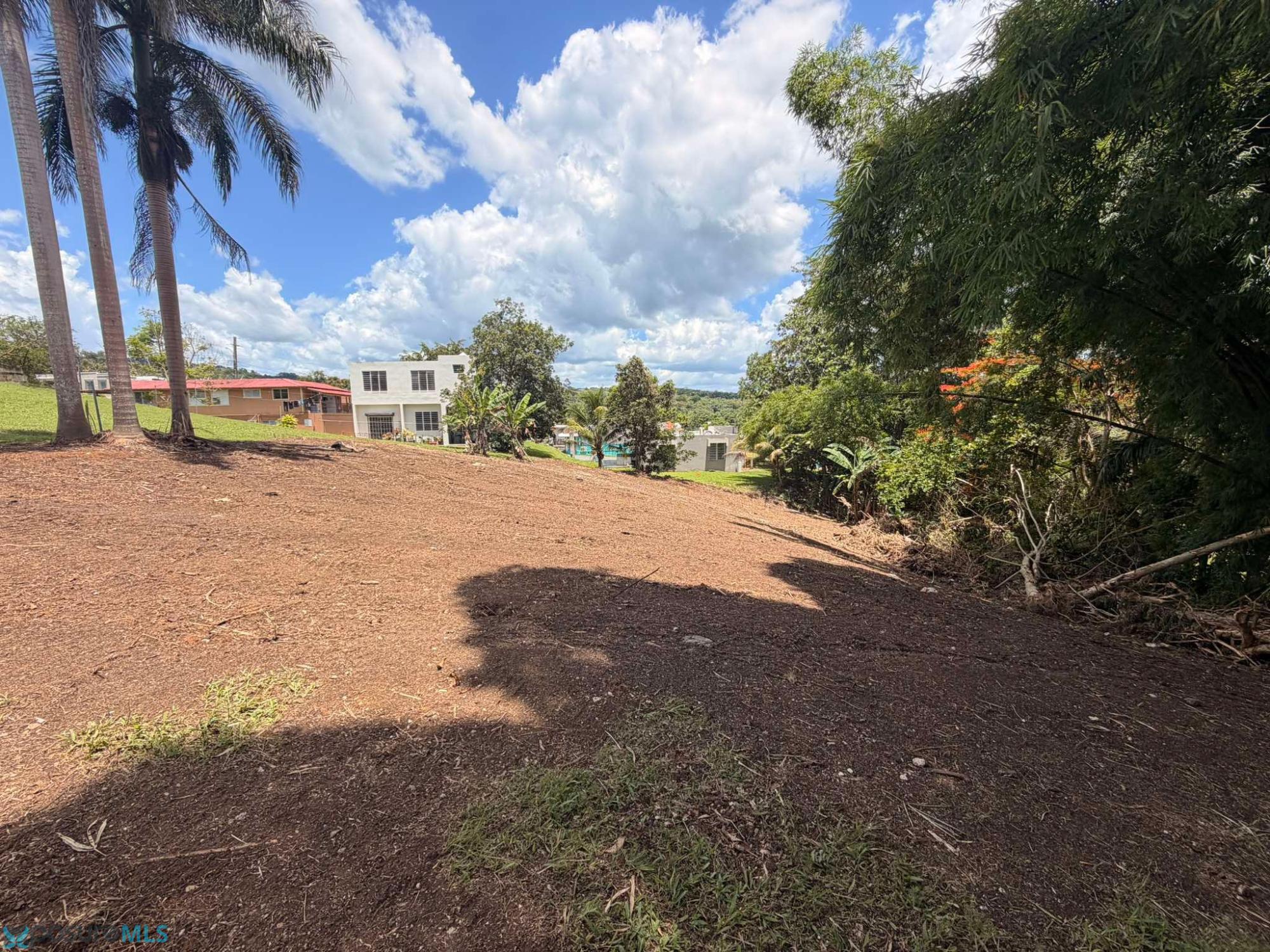 PR 450 Piedras Blancas 5